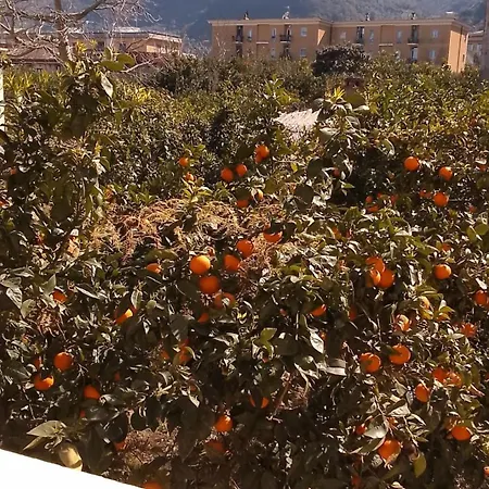 Casa Luisa
