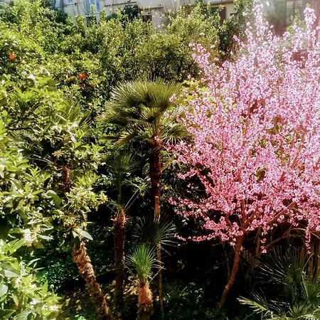 Casa Luisa Apartment Sorrento